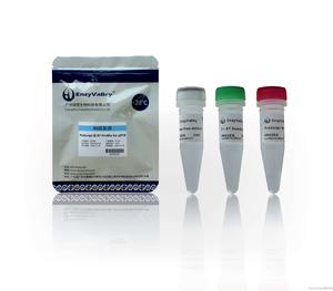 Index Prosylet Prescript PreScript III RT ProMix For qPCR - 广州英赞生物EnzyValley